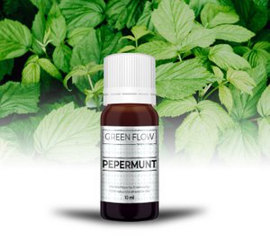Pfefferminze - 10 ml - 100% natürliches reines ätherisches Öl