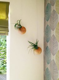Hanging Sphere - Light Oak