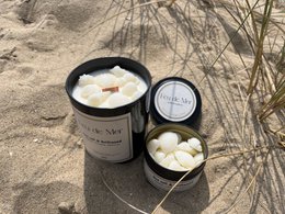 Wax melts seashells 50g - sea salt & driftwood