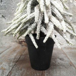 Demu kerstboom in pot snowfinish H39cm (39327)