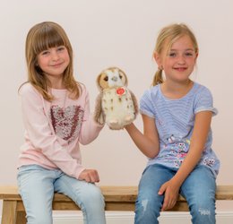 Gufo beige 20 cm - peluche - animale di pezza