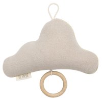 Teddy Cloud music cloud