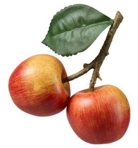 APPLE X2 W/LEAVES   BOX/3PC   RED