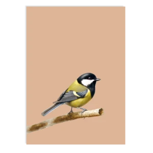 Postkarte Just Friends (great tit)