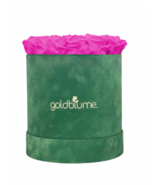 Colección Terciopelo Verde