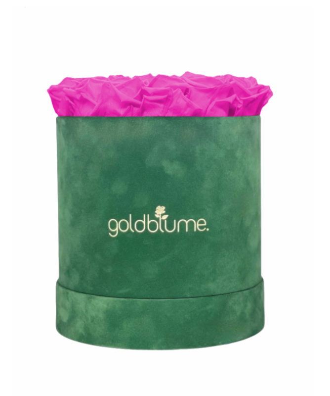 Colección Terciopelo Verde