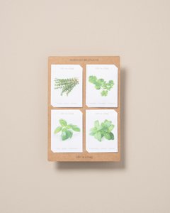 Kräutersamen - Pack von 4