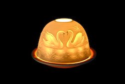 Dome Lights Schwan