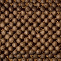 50 Wildblumen-Samenbomben, lose & unverpackt