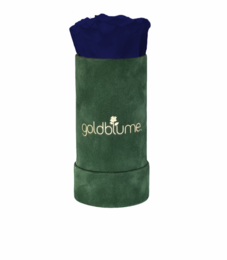 Colección Terciopelo Verde