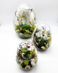 Gestabiliseerd eierterrarium