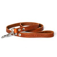 No fuss dog leash | Brown
