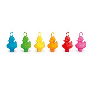 Schöne Enten - Regenbogen