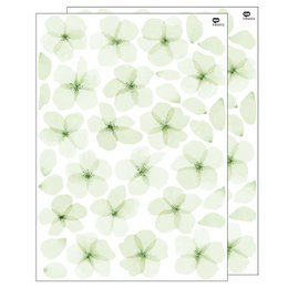 Vægklistermærke akvarel kirsebærblomst