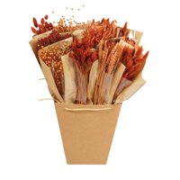 Trockenblumen-Mono-Mix – Terra