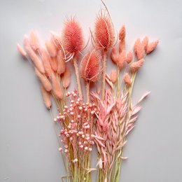 35 tallos Lino Seco Rosa Claro