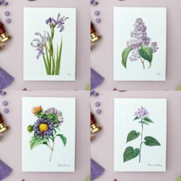 Pack Todos los Colores - Postales Hechas A Mano A6 con Sobre - Botanical Vintage