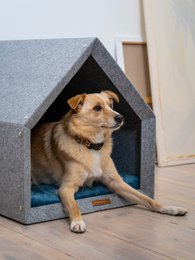 Pethome Perfekt hus til en hund og en kat - lysegrå/genanvendt