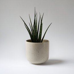 Cuenco con tapa MoxBowl Hollyhock - arena y motas - 500ml