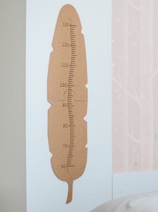 Pena Régua de Crescimento