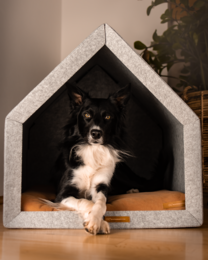Pethome Perfekt hus til en hund og en kat - lysegrå/genanvendt