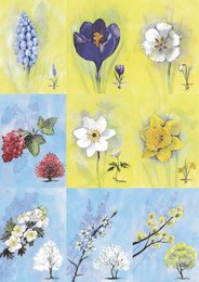 Assorted spring flowers including crocus, daffodil, and cherry blossom. Floral cards with nature-inspired designs.