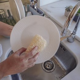 A natural, round sponge made from luffa, measuring 15cm in diameter. The sponge has a textured, fibrous surface and is suitable for kitchen use.