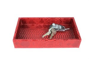 Rechthoekig dienblad, klein reptielrood