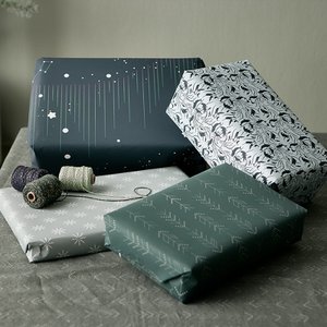 GESCHENKPAPIER - ARCTIC - RECYCLE 4 VELLEN