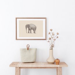 Elefante Póster