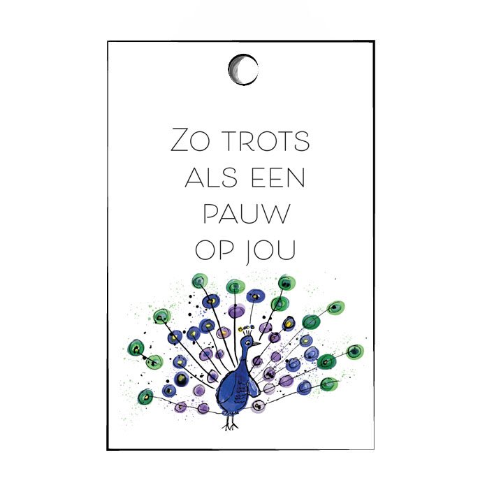 Minikaartje Trots als een Pauw