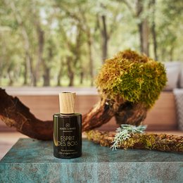 A home fragrance spray in a glass bottle, surrounded by natural elements like moss and branches, creating a rustic and earthy atmosphere.