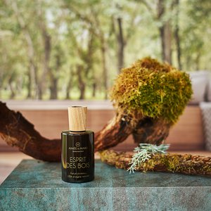 Holzgeist des natürlichen Umgebungsparfüms im Spray