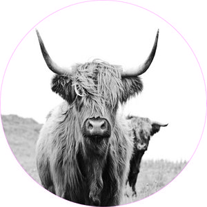 Muurcirkel high landers