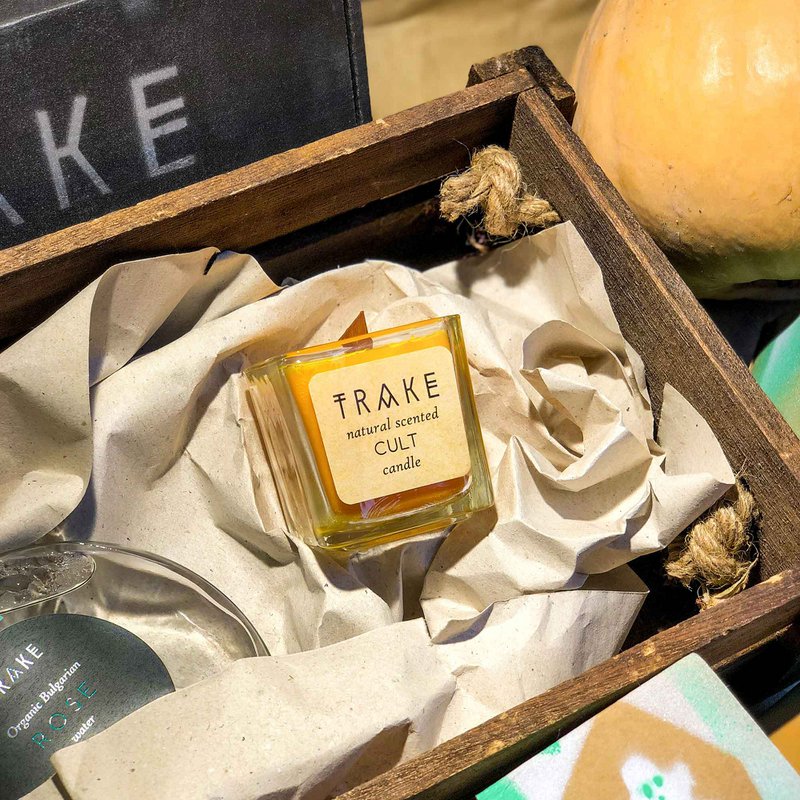 SEASONAL PUMPKIN, CINNAMON SPICED VANILLA CANDLE | NATURAL SCENTED MINI CANDLE