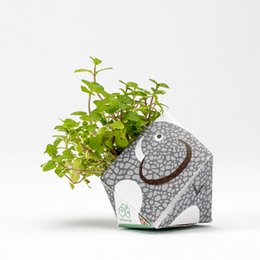 Urban Jungle Kit - Collectie regenwouddieren