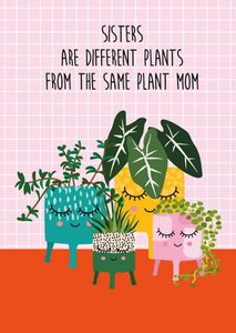Plant sisters
