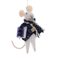 Muis met blauwe jas en boek