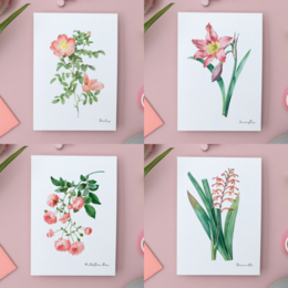 Pack Todos los Colores - Postales Hechas A Mano A6 con Sobre - Botanical Vintage