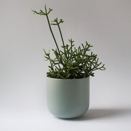 Large mug Mox Hollyhock - sage green - 500ml - without lid