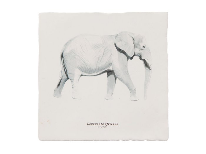 Rebellenclub x Lisa Tile - Elephant
