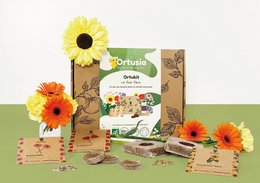 A flower growing kit containing sunflower seeds, soil, and planting tools. The kit includes instructions for growing sunflowers.