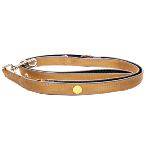 Hondenriem goud, M