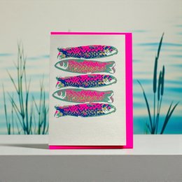  Colorful sardines fish illustration card with pink magenta border, coastal design greeting card.