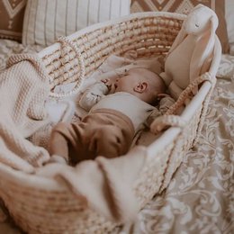Moses Basket - Grass