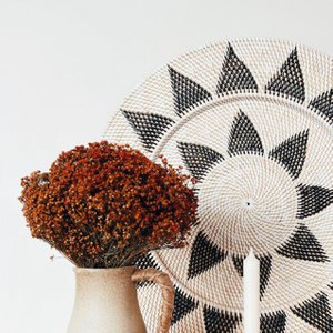 Broom Bloom Rode gedroogde bloemen