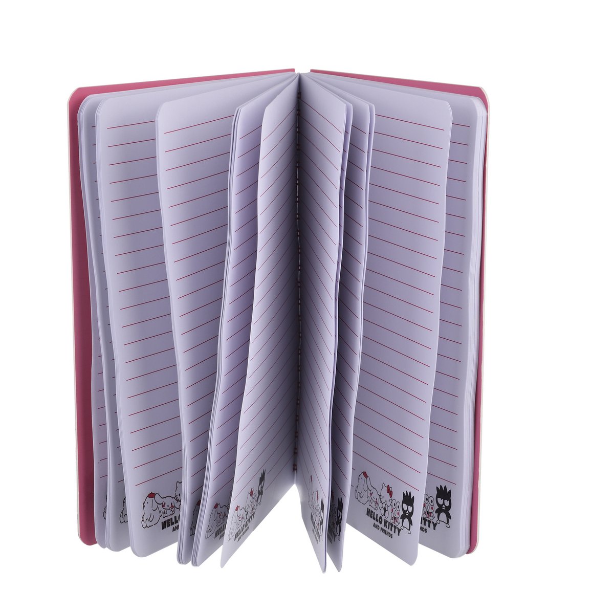 Carnet A5 à Spirale Hello Kitty & Friends – 96 Feuilles