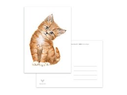 Adorable orange tabby kitten sitting on a postcard.