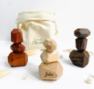 Wladimir das Spiel der Menhirs