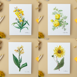 Pack Todos los Colores - Postales Hechas A Mano A6 con Sobre - Botanical Vintage